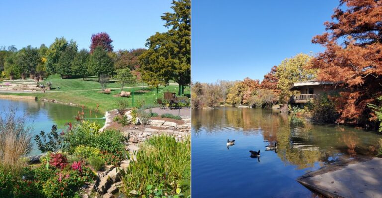 10 Kansas Nature Playgrounds With Treehouses, Trails, And Endless Exploration