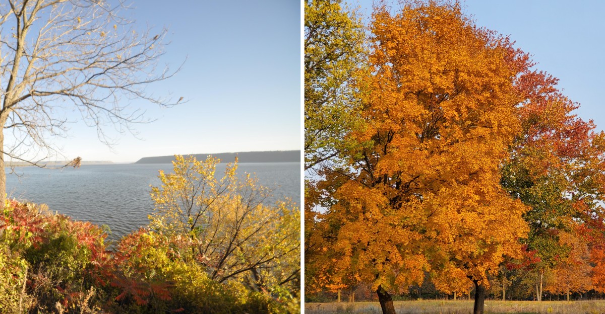 This Wisconsin Fall Color Road Trip Passes Through Small Towns So Scenic You’ll Keep Finding Reasons To Pull Over