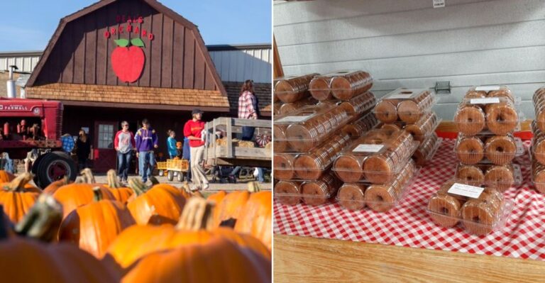 We Ranked 10 Iowa Apple Cider Donut Shops From Good To Completely Irresistible