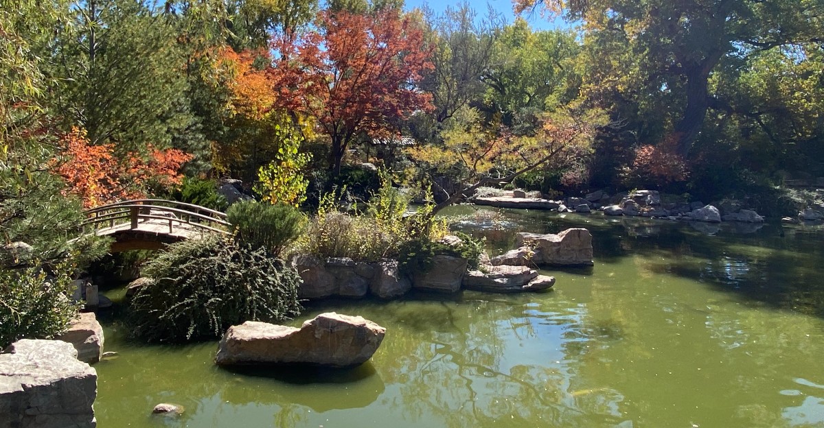 This New Mexico Japanese Garden Hides Koi Ponds, Stone Lanterns And Peaceful Nooks Around Every Bend