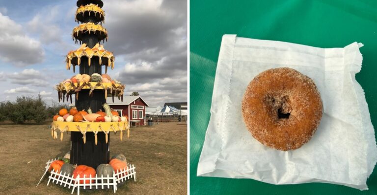 Indiana’s Fresh-Baked Apple Cider Donuts Make This Orchard A Fall Road Trip Favorite
