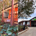 Louisiana Seafood Shacks Where Locals Go