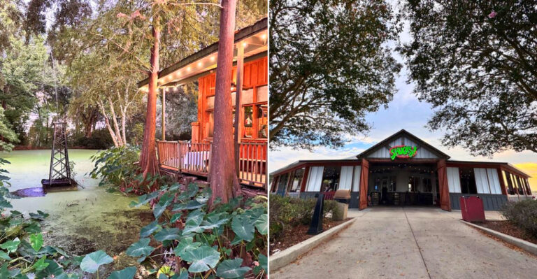 Forget The French Quarter Crowds, These 10 Louisiana Seafood Shacks Are Where Locals Go In 2026