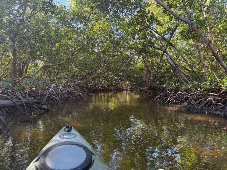 9 Florida Kayak Launches Where You Can Paddle Out Into Quiet Backwater Mangroves