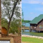 Louisiana Fall Day Trips