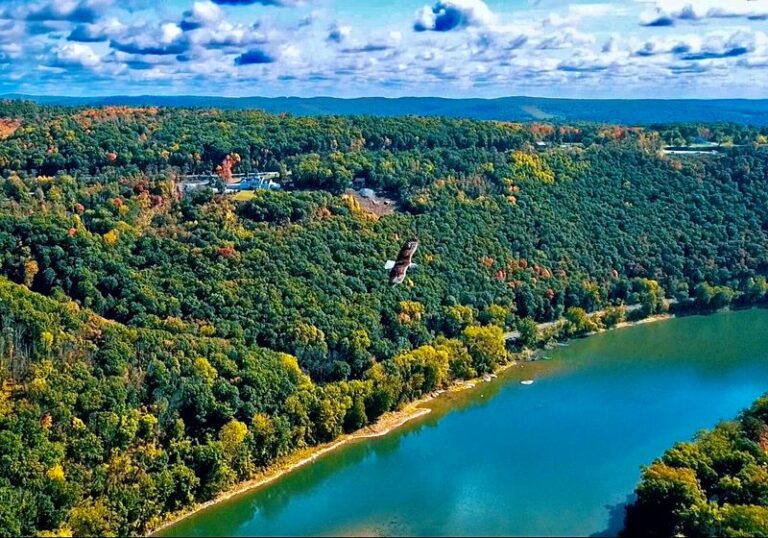 9 Pennsylvania Scenic Overlooks Where the Autumn Ridges Blaze From a Single Pull-Off