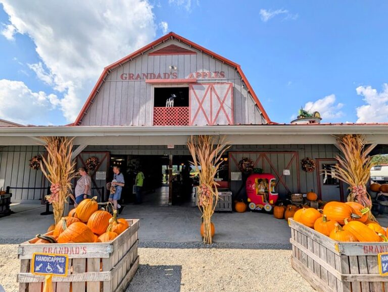 Warm Apple Cider Donuts Draw Leaf Peepers To These 7 North Carolina Orchard Bakeries This Fall
