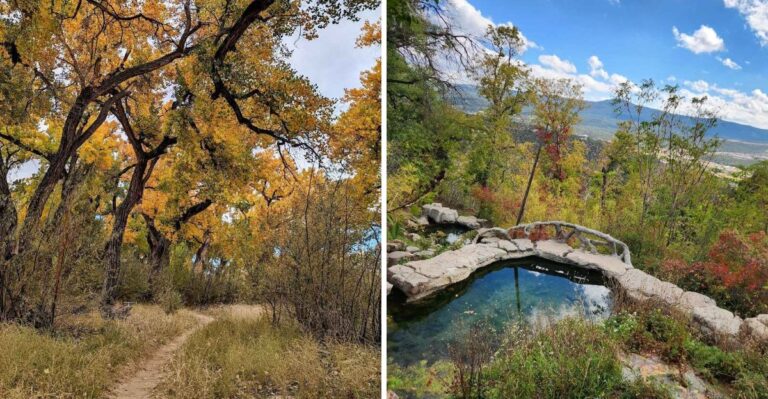 9 New Mexico Trails Under 2 Miles For Stunning Fall Colors Without The Tough Hike