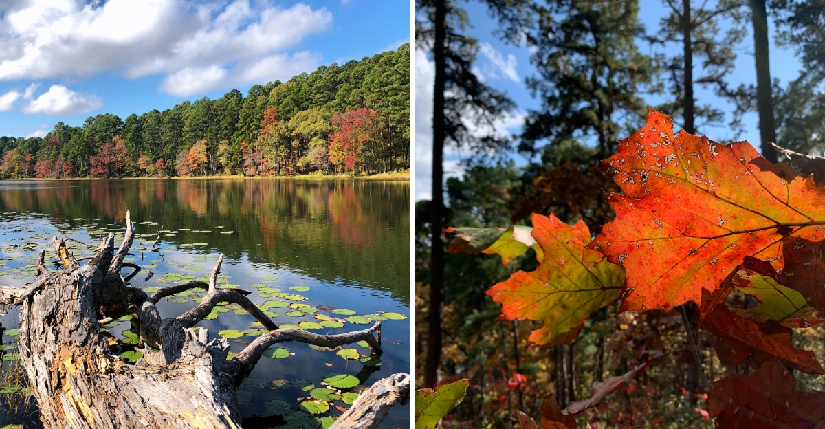 This Texas State Park Turns So Beautiful In Fall That Out-Of-State Visitors Can Hardly Believe The View