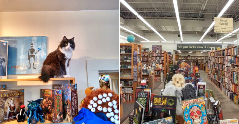 11 Giant Bookstores In Iowa Where You Can Lose Yourself For Hours