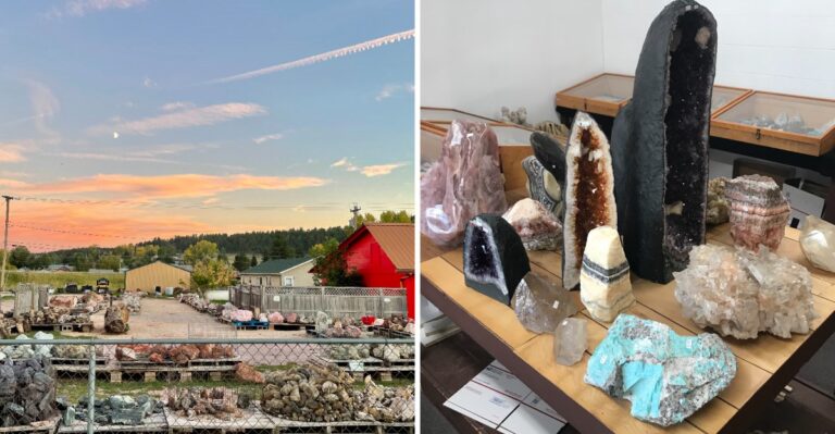 This South Dakota Rock Shop Is Packed With Fossils, Crystals And Black Hills Finds