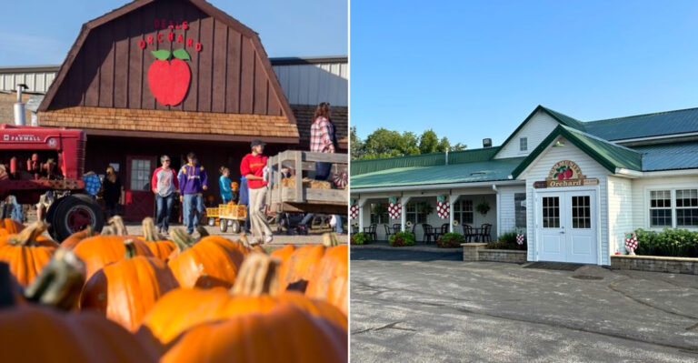 13 Iowa Fall Farm Experiences That Are Already In Full Swing Before October