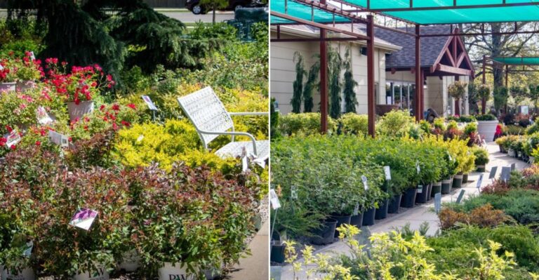 This Kansas Garden Warehouse Is A Treasure Trove Of Affordable Pots And Garden Finds