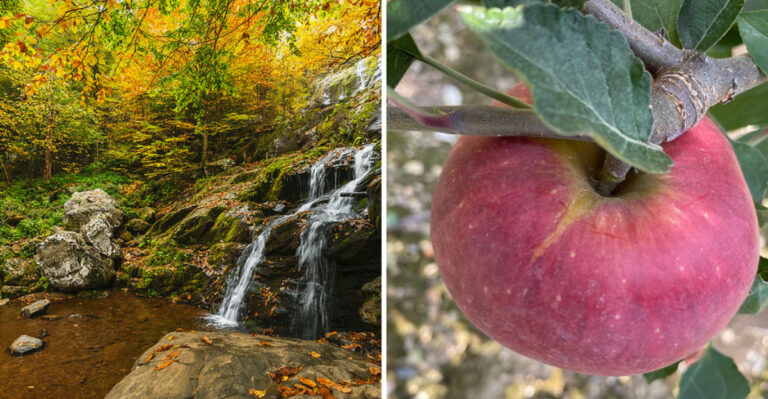 This Virginia Shenandoah Valley Farm Trail Is So Scenic In October That One Drive Barely Does It Justice