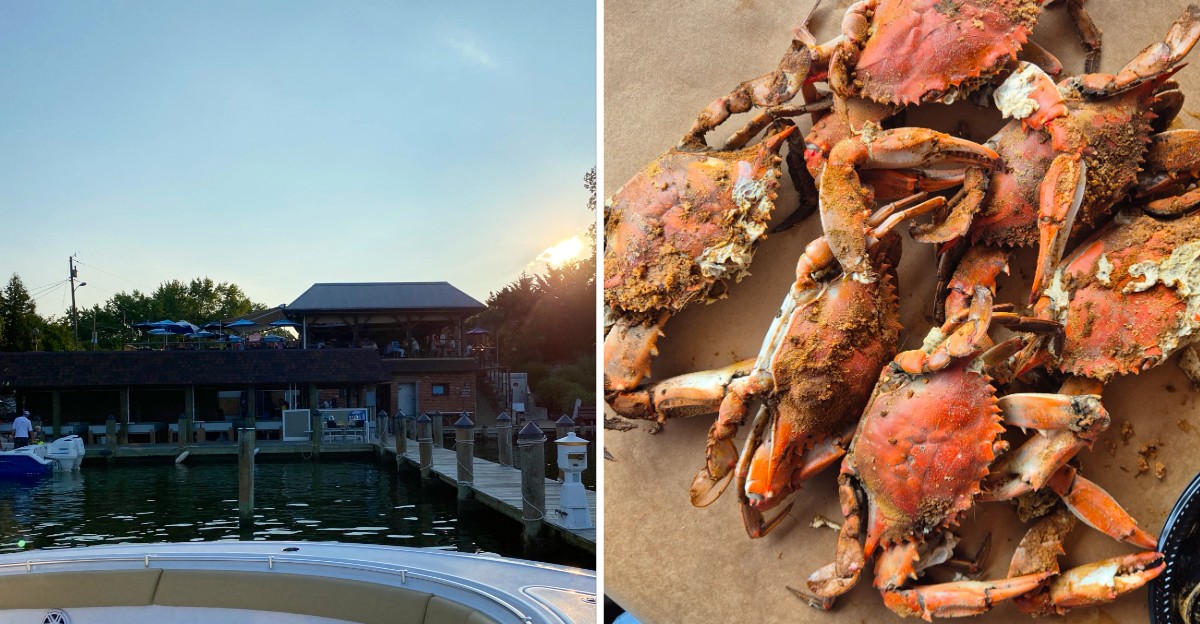 This Maryland Crab House Dumps Steamed Blue Crabs Straight Onto Paper-Covered Tables