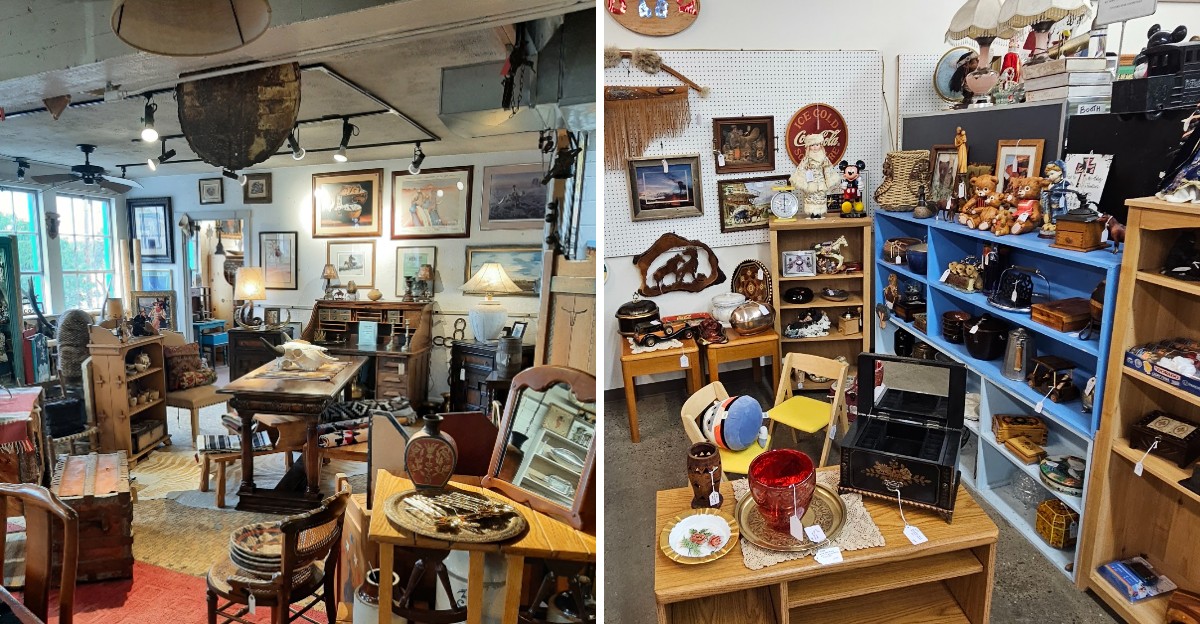9 Enormous New Mexico Secondhand Shops So Packed With Treasures They’re Worth The Whole Drive