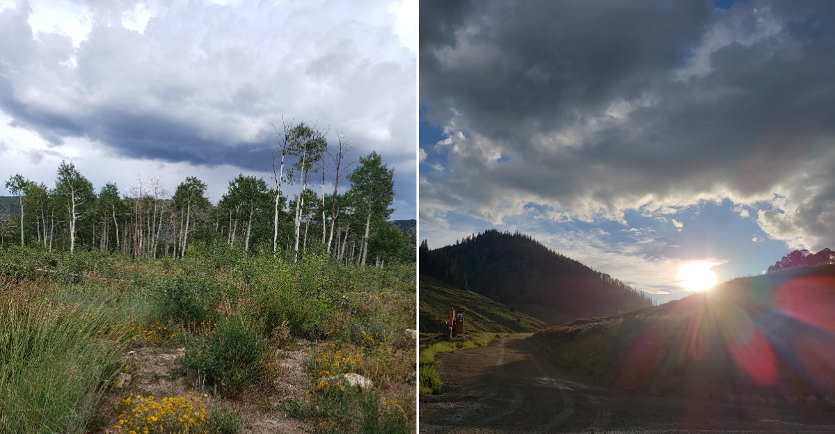 This Utah Road Trip Reveals Miles Of Stunning Fall Foliage Away From The Crowds