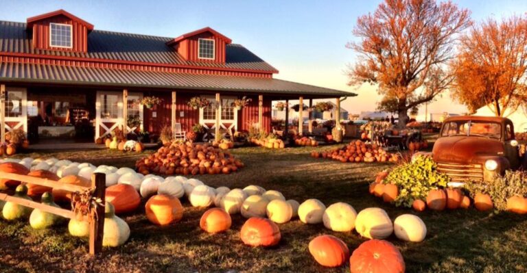 The 10 Iowa Pumpkin Farms Where The Same Families Have Farmed For Years
