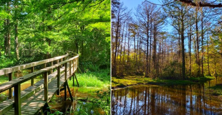This Louisiana Garden Feels Like A Secret Storybook World Hidden In The Swamp
