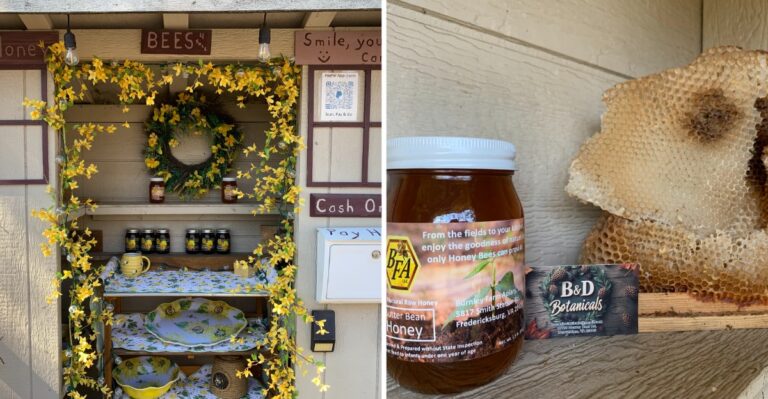This Virginia Driveway Honey Stand Sells Raw Wildflower And Varietal Honey Seven Days A Week