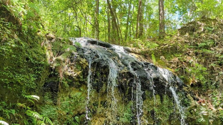 5 Florida Spots Where You Can Cool Off Beneath a Rushing Curtain of Water
