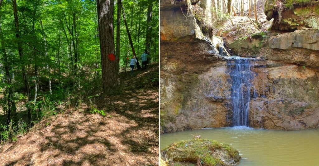 Rock Falls Trail