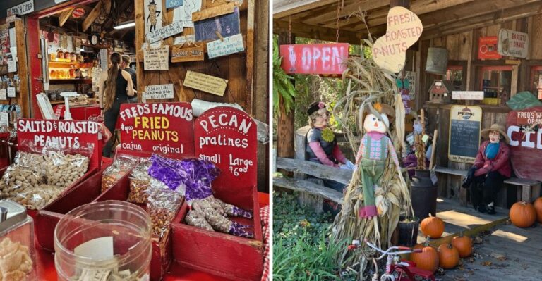 This Georgia Roadside Peanut Stand Draws Long Lines Every Fall Weekend