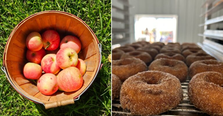 11 Iowa Orchard Stops Where The Fall Treats Are Half The Reason To Go