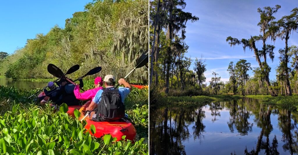 King George Bayou