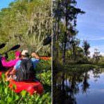 King George Bayou