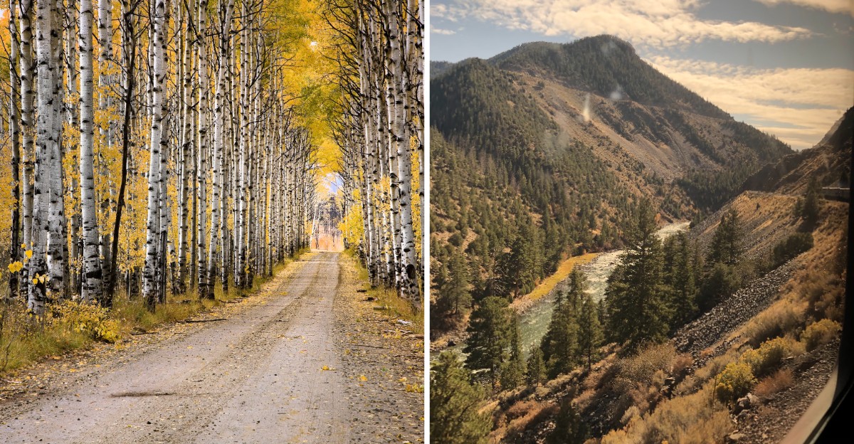 This Wyoming Mountain Pass Turns Golden Every Fall As Aspen Trees Change Color