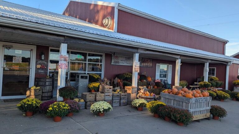8 Ohio Old-School Bakeries Where the Apple Cider Donuts Taste Like a Fall Fair