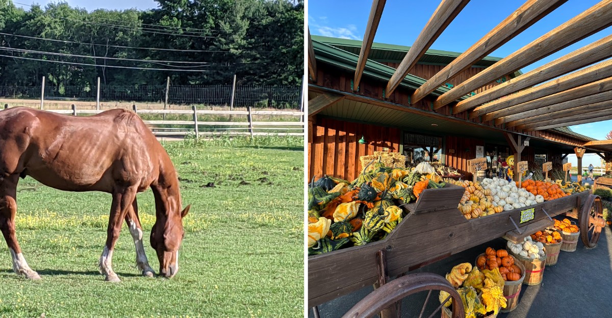 This Wisconsin Farm Market Turns October Weekends Into A Full-Blown Harvest Tradition