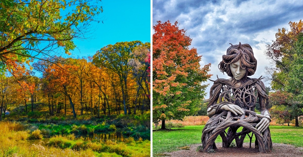 This Illinois Arboretum Turns Thousands Of Trees Into A Sea Of Orange And Gold Every Fall
