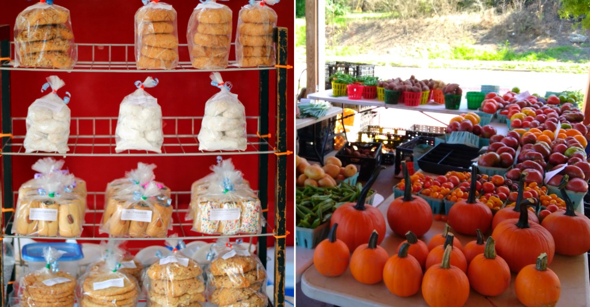 We Ranked The 10 Best Farmer And Produce Markets In Louisiana And Here Are The Results