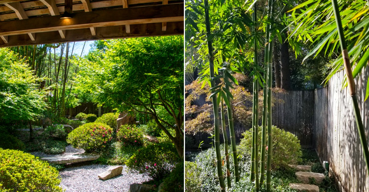 This Louisiana Japanese Garden Hides A Peaceful Bamboo-Wrapped Retreat Inside New Orleans City Park