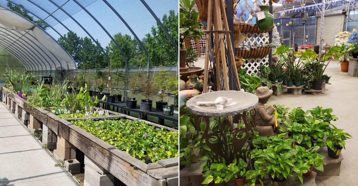 This Kansas Pottery Warehouse Is Filled With Affordable Pots And Surprising Garden Treasures