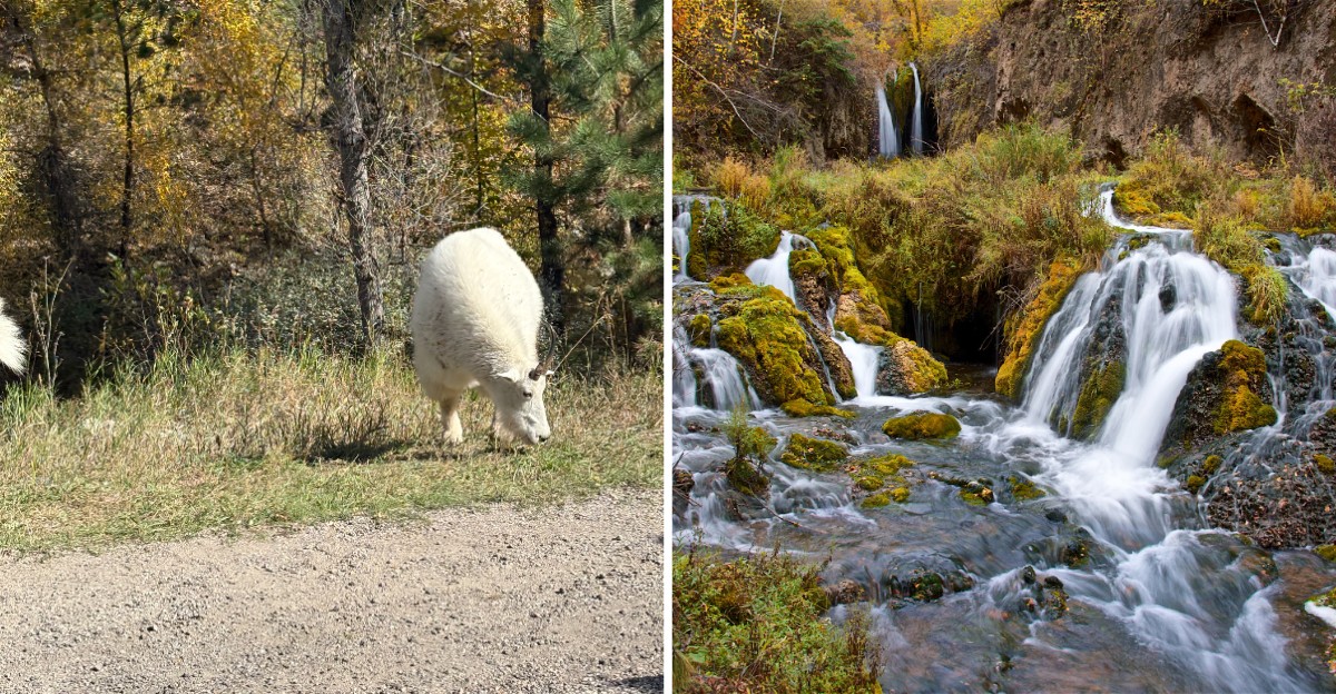 This South Dakota Byway Passes Waterfalls And Fall Color Turns The Canyon Walls Gold