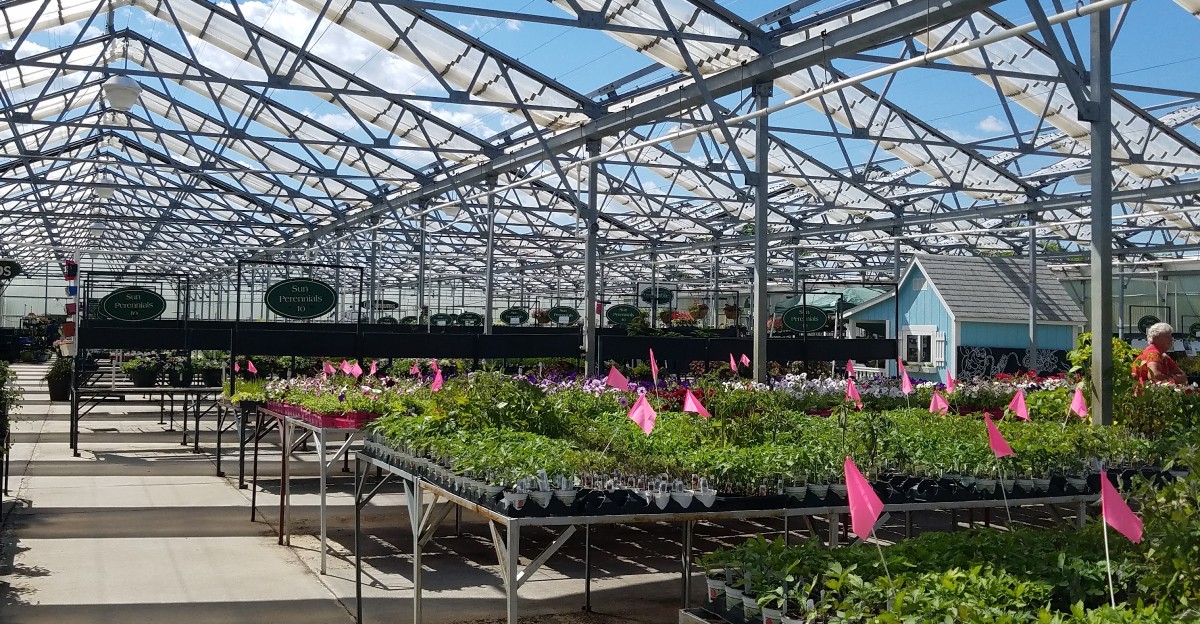 The Massive Kansas Greenhouse Where Plant Lovers Can Still Find Surprisingly Affordable Prices