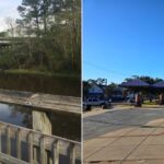 The Tammany Trace