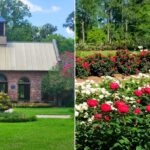 The LSU AgCenter Botanic Gardens
