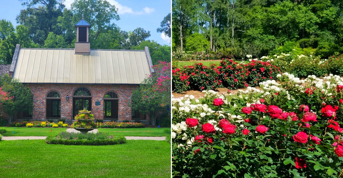 A Massive Camellia Collection Is Hiding Inside This Louisiana Garden