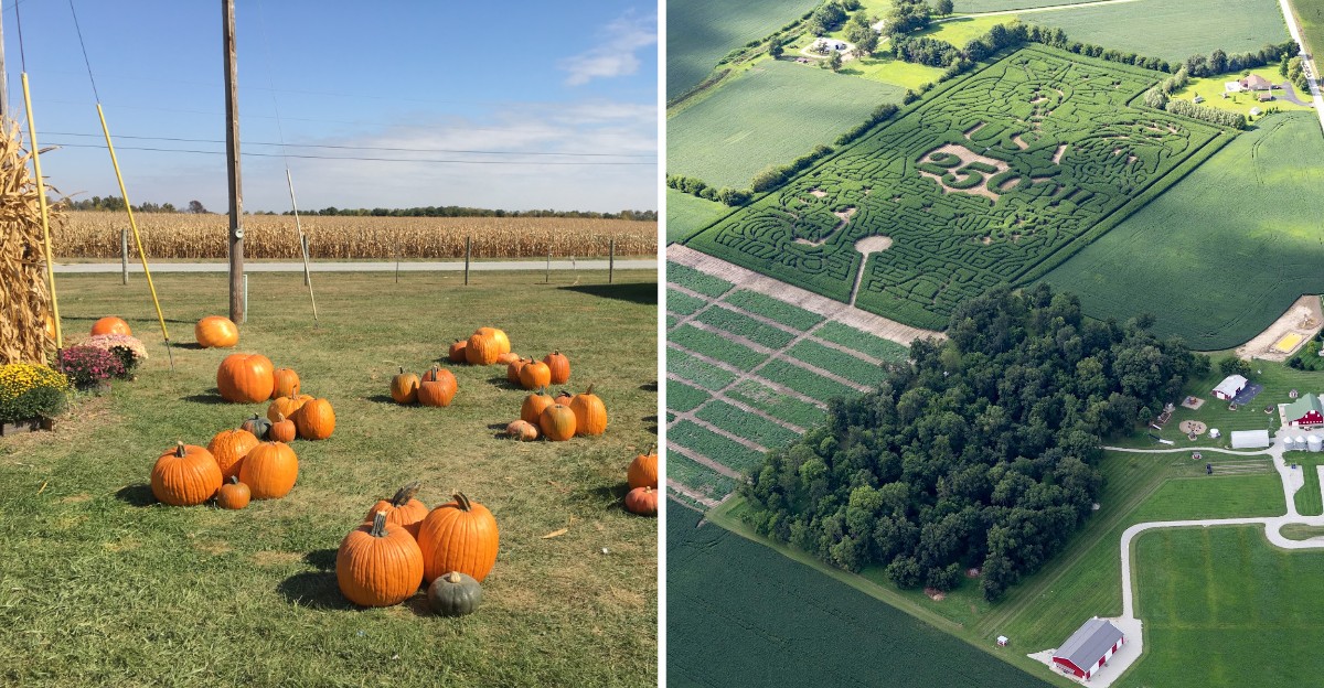 This Indiana Pumpkin Farm Becomes A Massive Fall Playground Every October