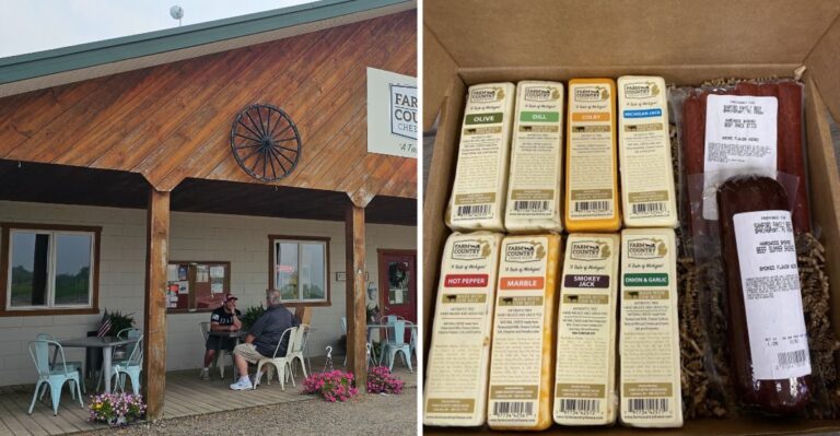This Rural Michigan Cheese Shop Has So Many Local Varieties It Is Worth A Special Trip