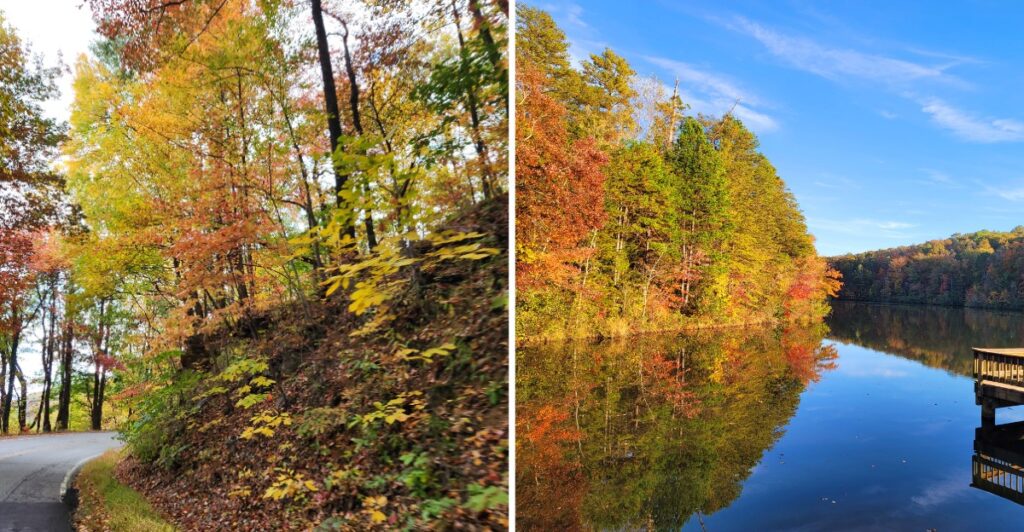 This South Carolina Countryside Turns Surprisingly Beautiful Once October Colors Take Over