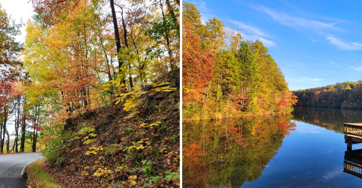 This South Carolina Countryside Turns Surprisingly Beautiful Once October Colors Take Over
