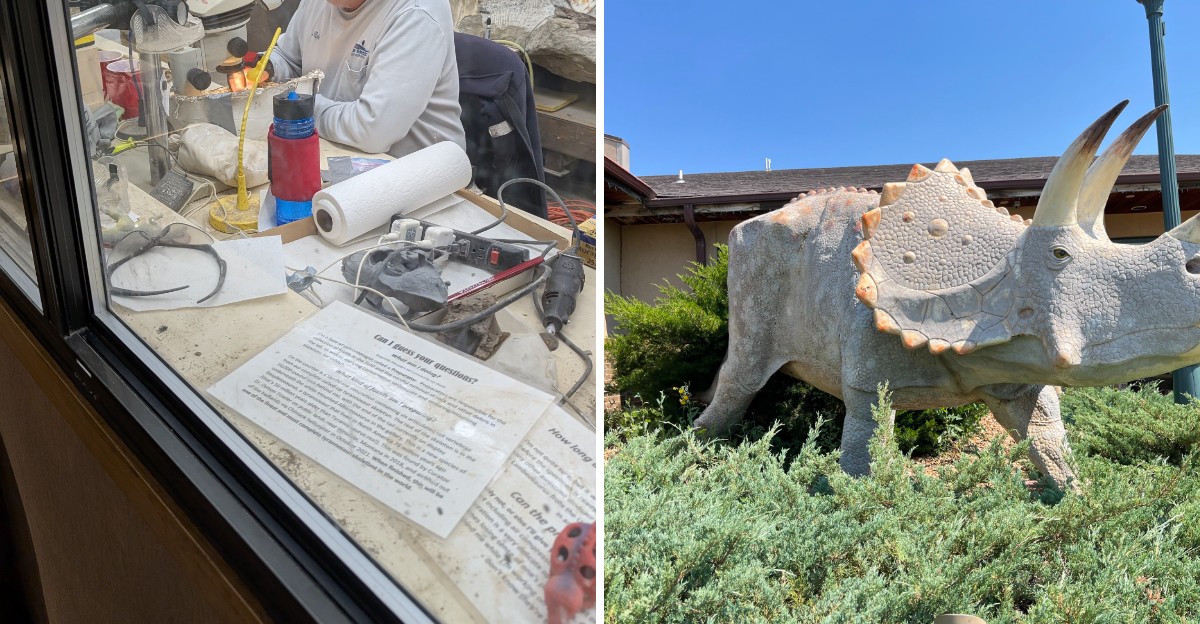 This North Dakota Museum Displays Real Dinosaur Fossils Found In The Badlands And Is Perfect To Visit Before 2026 Ends