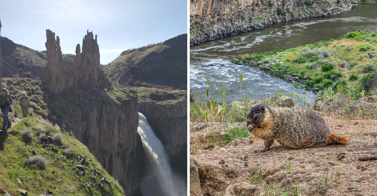 This Washington Waterfall Plunges Into A Basalt Canyon And Fall Light Makes The Cliffs Glow