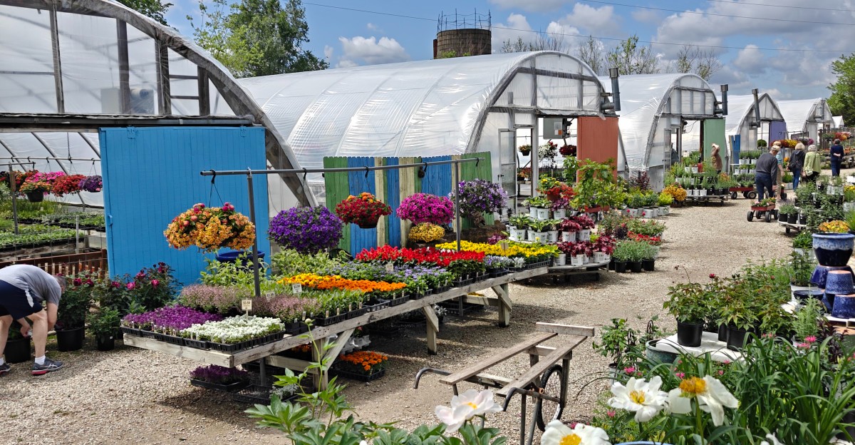 This Overlooked Kansas Garden Nursery Sells Plants So Cheap Regulars Fill Their Trunks