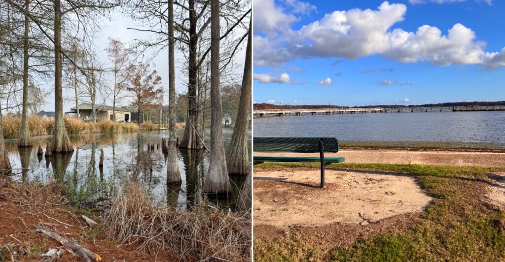 Lake Arthur